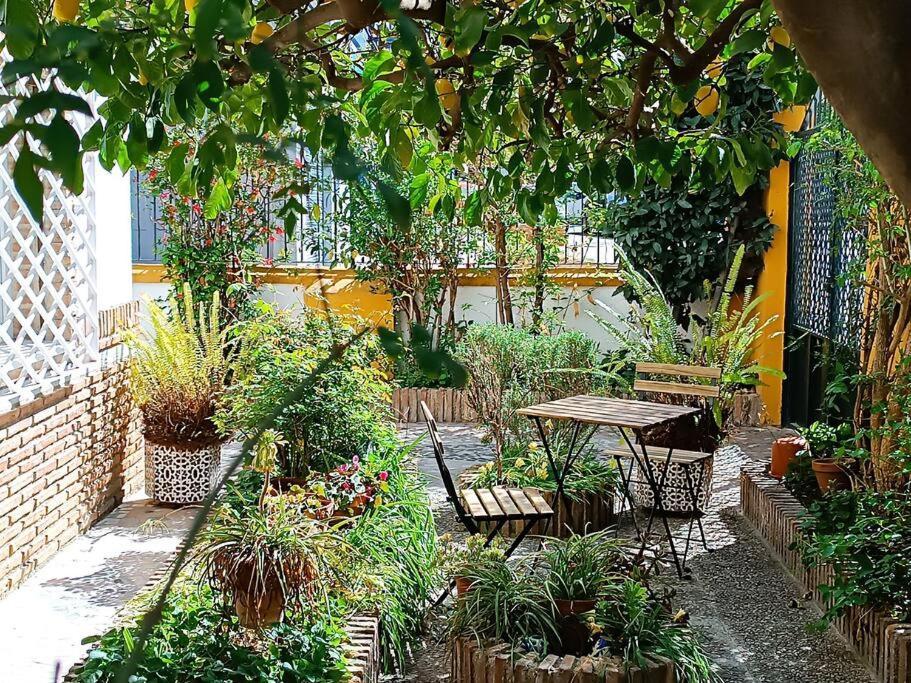 Casa Limonero Con Parking Gratis Junto A Centro Historico Villa Granada Exterior photo
