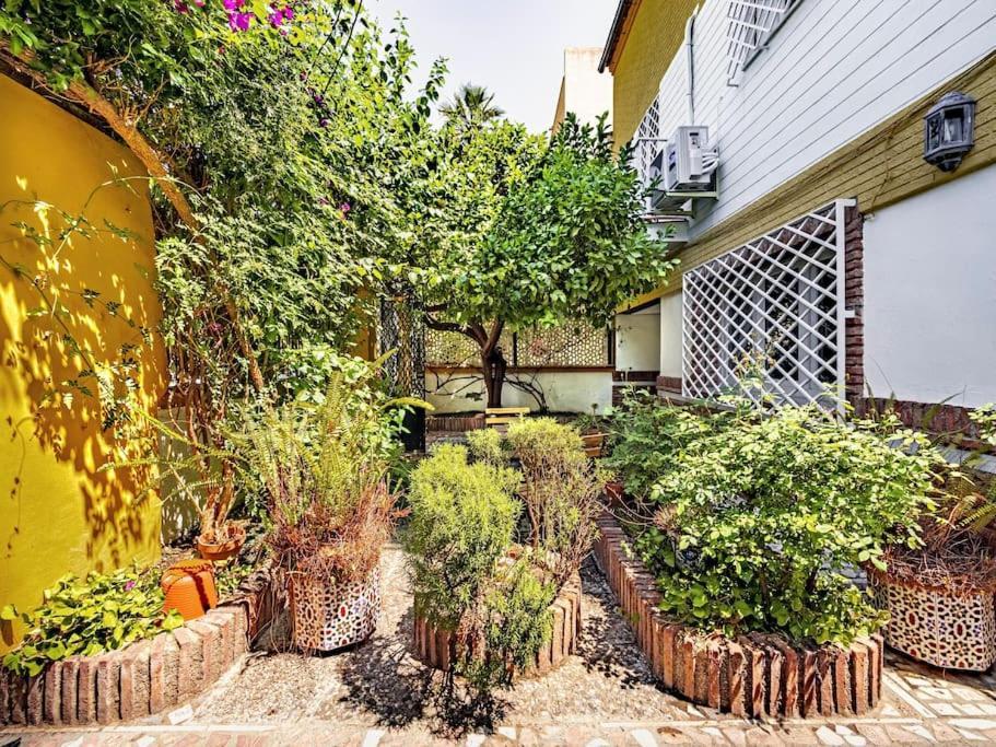 Casa Limonero Con Parking Gratis Junto A Centro Historico Villa Granada Exterior photo